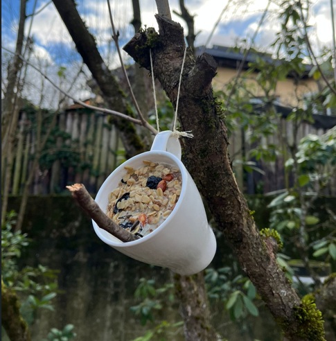 vogelfuttertassen2025 gross